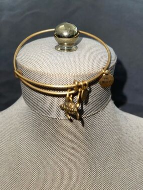 Alex and Ani Gold-Tone Turtle Charm Bangle Bracelet - Women Jewelry